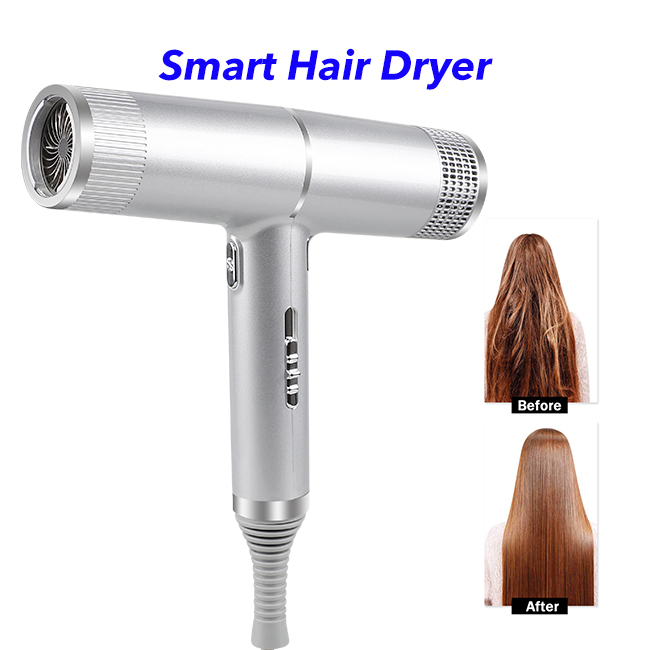 Professional 700W Anion Hair Dryer Negative Ion Quick Dry Home Powerful Electric Hair Dryer