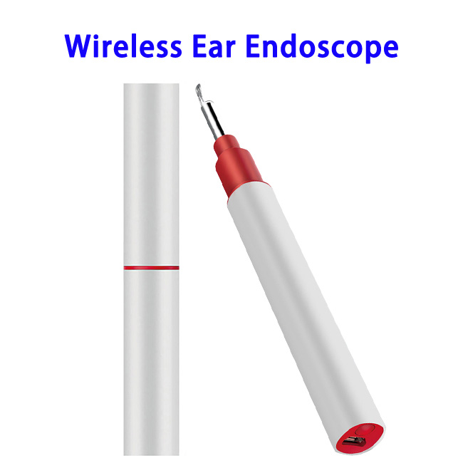 3.9mm WiFi Ear Otoscope Wireless HD1080P Digital Endoscope Ear Inspection Camera Earwax Cleaning Tool(Silver)