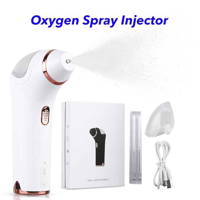 Skin Care Facial Humidifier Airbrush Mini Nano Sprayer Water Oxygen Injection Meter