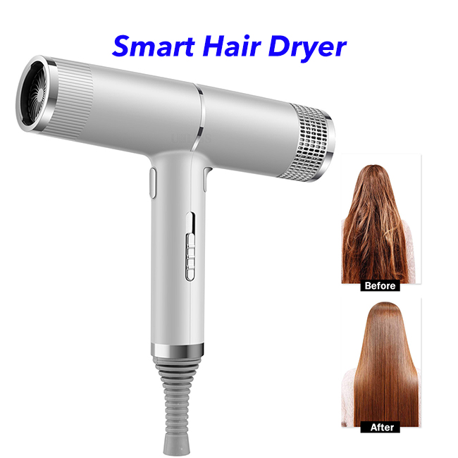 Professional 700W Anion Hair Dryer Negative Ion Quick Dry Home Powerful Electric Hair Dryer