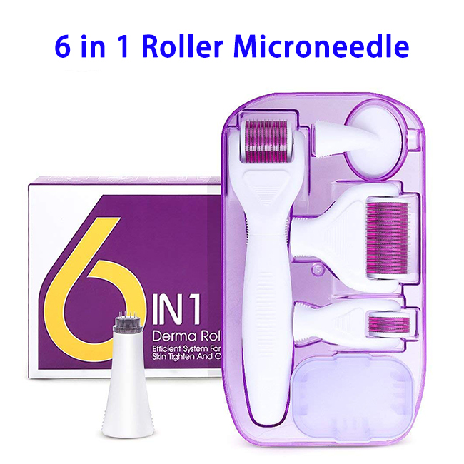 CE Approved Home Use Skin Care 6 In 1 Micro Needle Roller Set (Rose)
