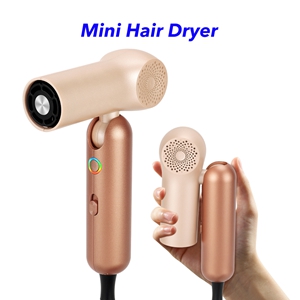 Professional Fast Drying Ionic High Speed Hair Dryer Mini Portable Hair Blow Dryer for Travel (Gold)