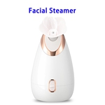 2020 New Product Face Steamer Machine Nanometer Facial Steamer for Home(Gold)