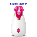 2020 New Product Face Steamer Machine Nanometer Facial Steamer for Home(Rose)