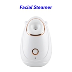 SPA Face Humidifier Nano Ionic Hot Mist Sprayer Home Sauna Skin Moisturizing Cleansing Pores Face Steamer